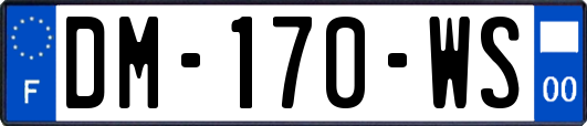 DM-170-WS