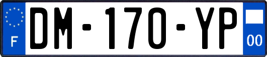 DM-170-YP