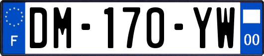 DM-170-YW