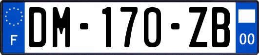 DM-170-ZB