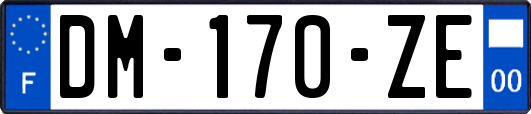 DM-170-ZE