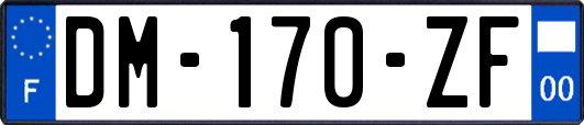 DM-170-ZF