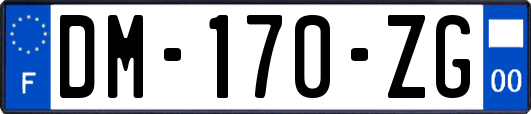 DM-170-ZG