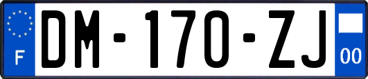 DM-170-ZJ