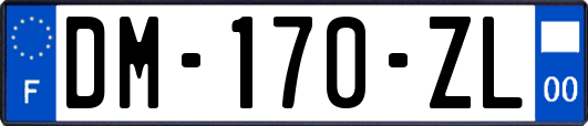 DM-170-ZL