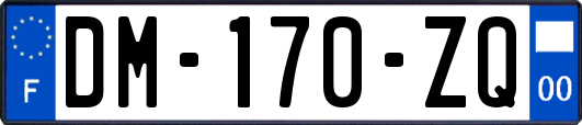 DM-170-ZQ