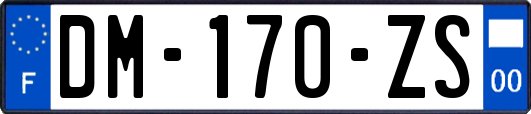 DM-170-ZS