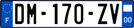 DM-170-ZV