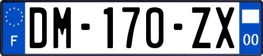 DM-170-ZX