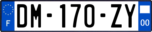 DM-170-ZY