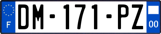 DM-171-PZ