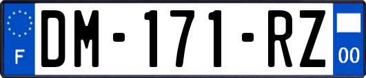 DM-171-RZ