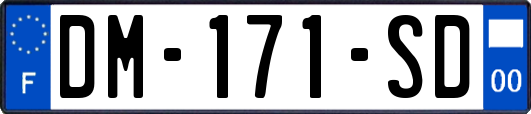 DM-171-SD
