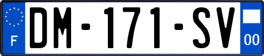 DM-171-SV