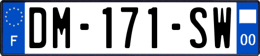 DM-171-SW
