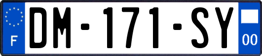 DM-171-SY