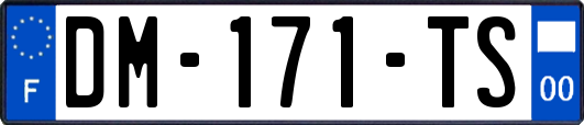 DM-171-TS
