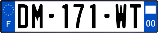 DM-171-WT