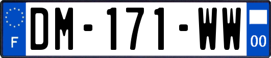 DM-171-WW