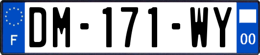 DM-171-WY