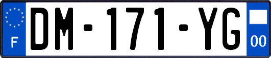 DM-171-YG