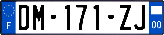 DM-171-ZJ