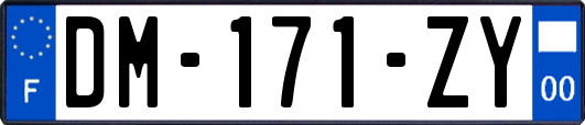 DM-171-ZY