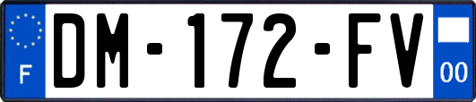 DM-172-FV