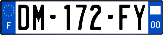 DM-172-FY