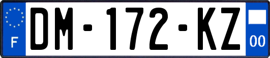 DM-172-KZ