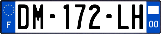 DM-172-LH