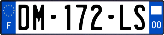 DM-172-LS