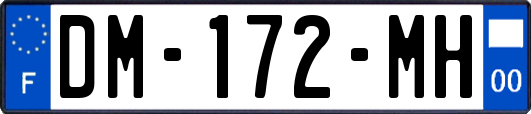 DM-172-MH