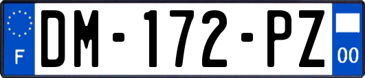 DM-172-PZ