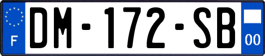 DM-172-SB