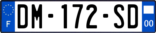 DM-172-SD