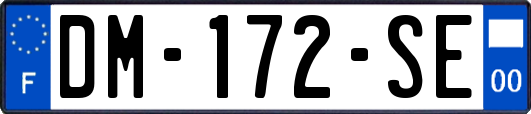 DM-172-SE