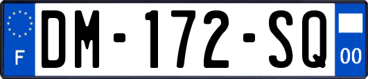 DM-172-SQ