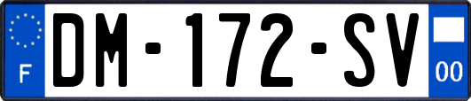 DM-172-SV
