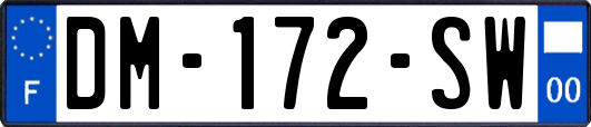 DM-172-SW