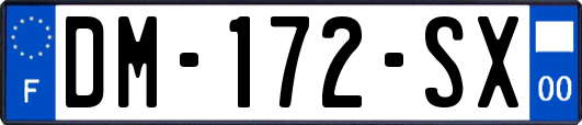 DM-172-SX