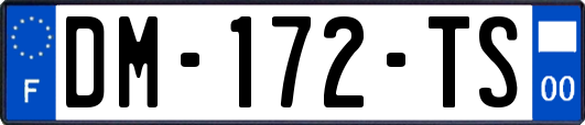DM-172-TS