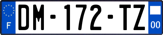 DM-172-TZ