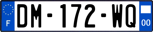 DM-172-WQ