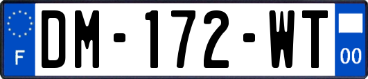 DM-172-WT