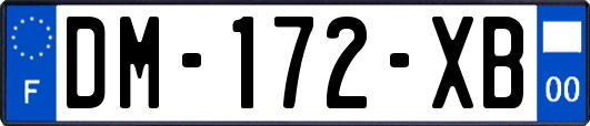 DM-172-XB