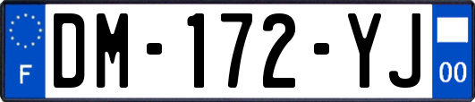 DM-172-YJ