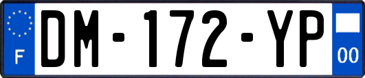 DM-172-YP