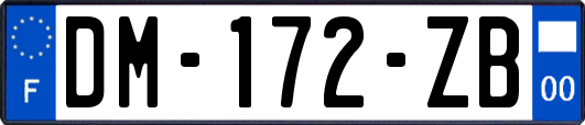 DM-172-ZB