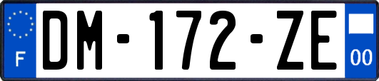 DM-172-ZE